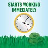 Roundup for Lawns₄ Ready-to-Use (Southern) - All-in-One Weed Killer for