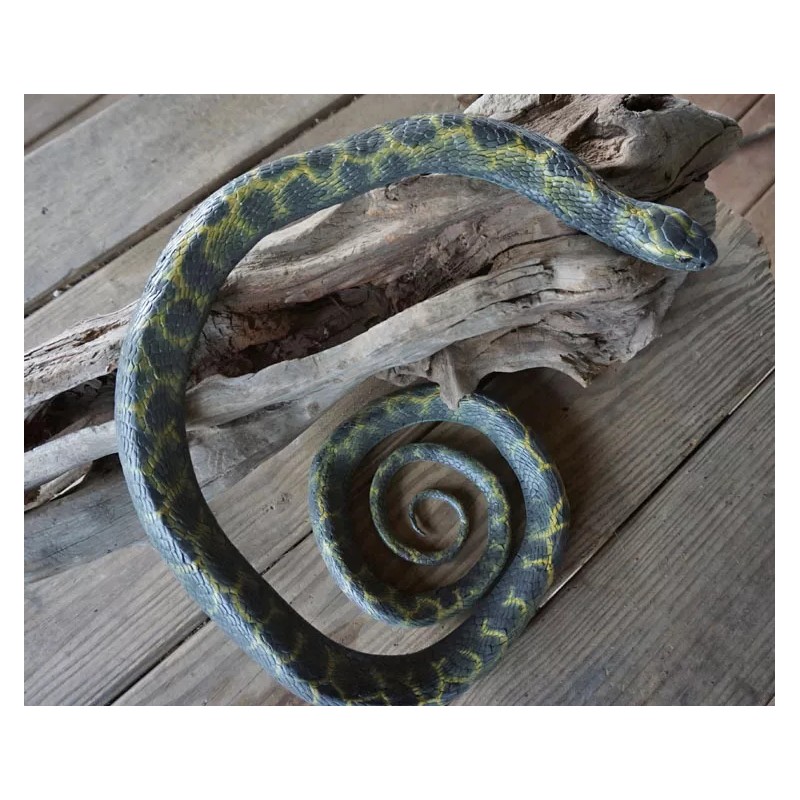 5' Realistic Chain King Snake Replica - Rubber