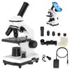 Amotopart 100X-2000X Compound Monocular Microscope For Kids Adult With Slides