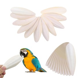 KBCYRT 22pcs Cuttlefish, Cuttlefish for Birds, 5-7cm Cuttlefish Bone, Cuttlefish Bone for Snails, Cuttlefish for Tortoise, Parrots Chew Toys, for Parrots Cage Birds Reptiles Tortoises Snails