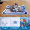 Gosknor Cat Water Play Mat, 23.62x19.69 Inch Kitty Thickened Sensory