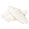 SunGrow Large Cuttlefish Bones for Cockatiels, Turtles, Shrimp, Dog Calcium,