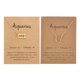 2Pcs Zodiac Sign Necklace for Women 12 Constellation Necklace CZ Astrology Zodiac Gift for Women (Aquarius)
