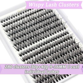 280pcs Cluster Lashes C Curl,Individual Lashes With a Tweezer,Wispy Fluffy False Eyelashes DIY Natural Eyelash Extension Kit,Individual Russian Cluster Lashes Kit at Home Reusable(30P+40P, 9-16mm)