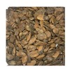 Abere Seeds (Hunteria Umbellata) - 12 Seeds