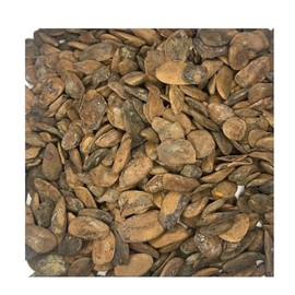 Abere Seeds (Hunteria Umbellata) - 12 Seeds