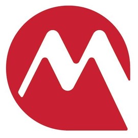 (2 Pack) 265067 Genuine MARUYAMA Piston Ring Set (STD) BL32 B30L BC3021 MS0741