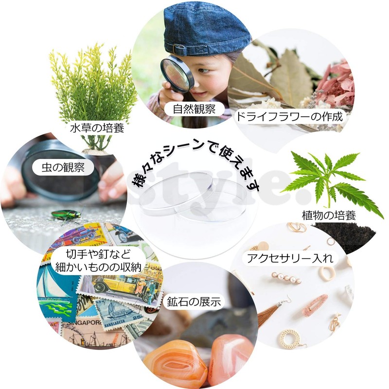 Pstyle PST-042 Petri Plate, Plastic Plate, Clear, 2.2 inches (55