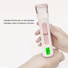 Facial Mist Sprayer 30ml High Volume Double Hole Electric Face