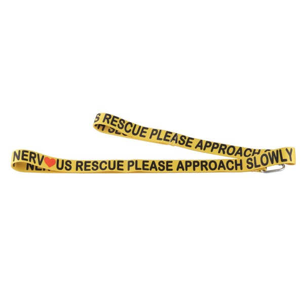 Nervous Rescue Please Approach Slowly Dog Leash Rescue Dogs Anxious