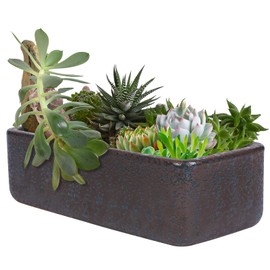 Thirtypot 10 Inch Rectangular Terracotta Bonsai Planter Indoor/Outdoor Flower Pot with Drainage Device