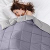 Modern Threads Down Alternative Reversible Comforter Purple/Silver California King