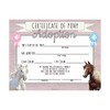 Fun Express Pony Adoption Certificates - Stationery - 12 Pieces