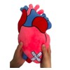 TANGDIAABBCC Heart of Hope - Stuffed Plush Anatomical Heart Pillow