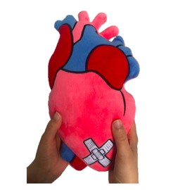 TANGDIAABBCC Heart of Hope - Stuffed Plush Anatomical Heart Pillow