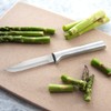 Rada Cutlery Everyday Paring Knife – Stainless Steel Blade With