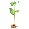 Exo Terra Dripper Plant, Small