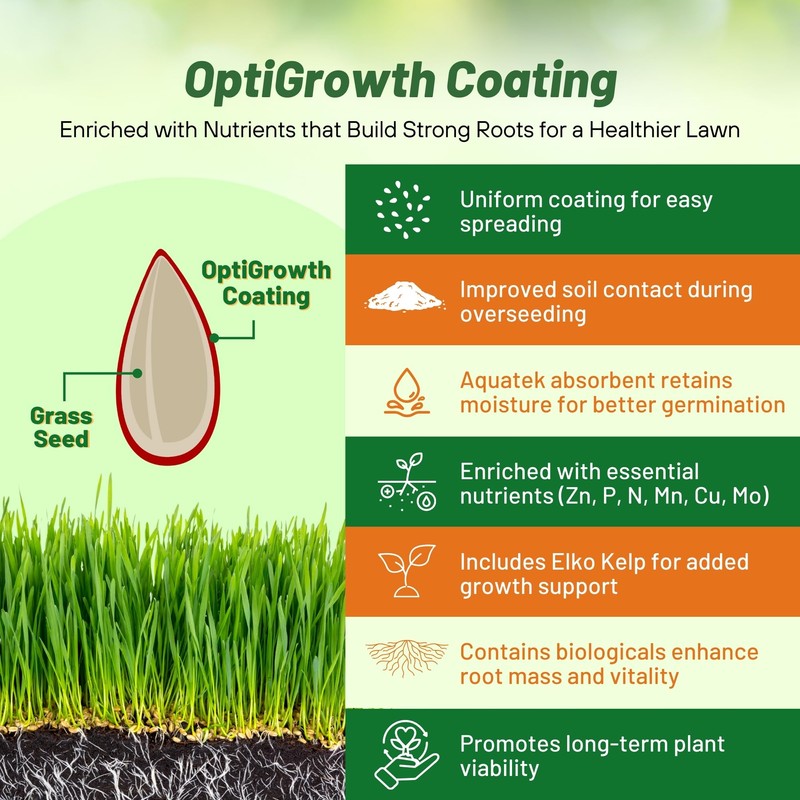 Outsidepride Fireball & Hattrick Rye Grass Seed Blend - 5