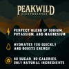 PeakWild Electrolyte Powder | Panther Punch (Passionfruit Guava) | Zero