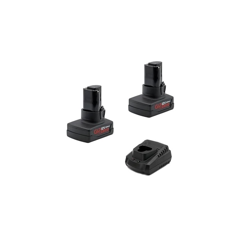 ACDelco AB1225LA-2 G12 Series 12V Li-ion Interchangeable Battery Pack 4.0