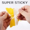 Mosqueda 36 Pack Yellow Sticky Bug Traps – Fruit Fly