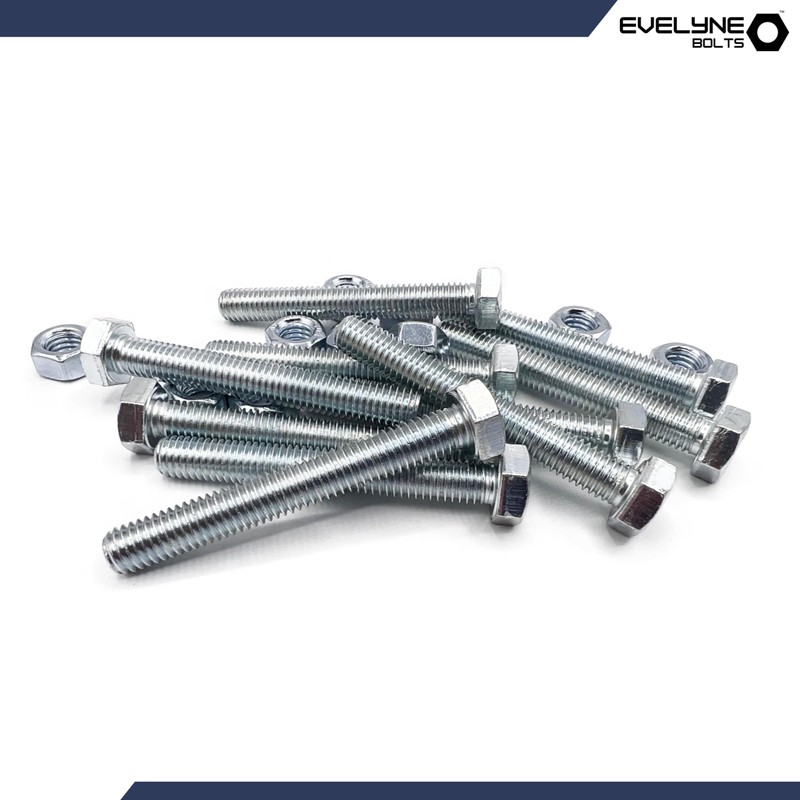 M8 Nuts & Bolt 10 Pack (M8 x 60mm Bolts