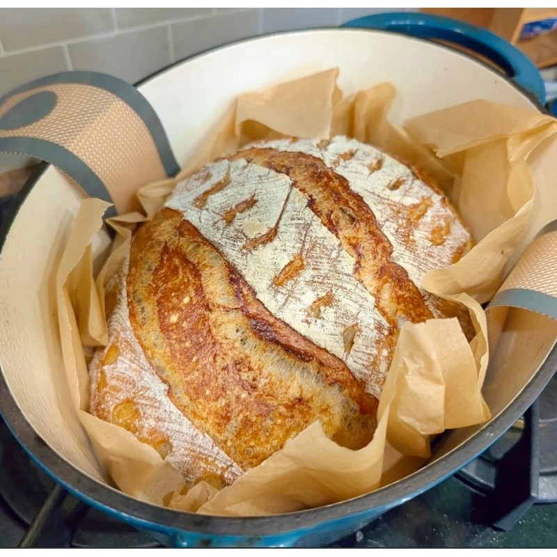 Great Grandmas EASY Sourdough Starter Heritage San Francisco - Live