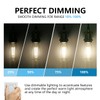 BORT ST58/ST19 Vintage Edison Bulbs, Neutral White 4000K, 6W Equivalent
