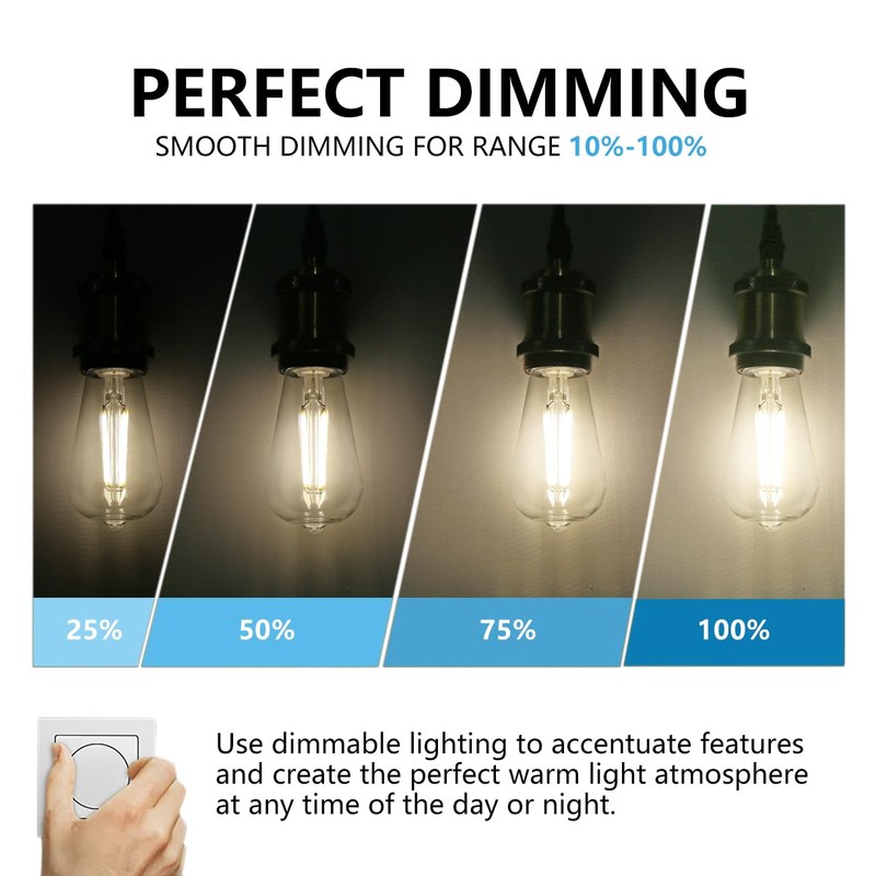 BORT ST58/ST19 Vintage Edison Bulbs, Neutral White 4000K, 6W Equivalent