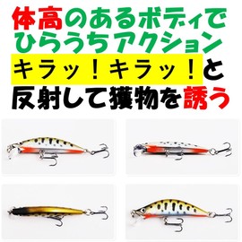 Night Army Stream Lure, Streamline Minnow, Set of 5, S Type, 2.0 inches (5.0 cm), 0.2 oz (5.2 g), Sinking Minnow, Ivana, Yamame, Rainbow Trout (S/5.2 g) Trout Color)