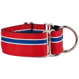 If It Barks - 1.5" Martingale Collar for Dogs - Adjustable - Nylon - Strong and Comfy - Ideal for Training - Made in USA - Medium, Patriotic