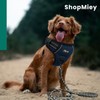 ShopMiey Dog Harness No Pull Pet Harness with 2 Leash