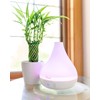 Crane Small Ultrasonic Diffuser and Air Humidifiers for Bedroom and