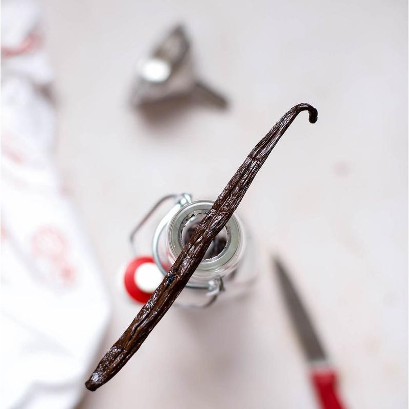Gneiss Spice DIY Vanilla Extract Kit - Certified Organic &