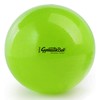 Pezziball Standard Exercise Ball