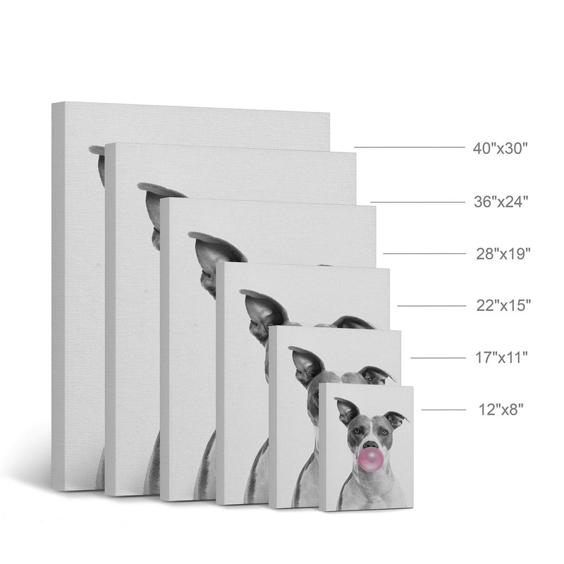 Smile Art Design Cute Pitbull Dog Animal Bubble Gum Art