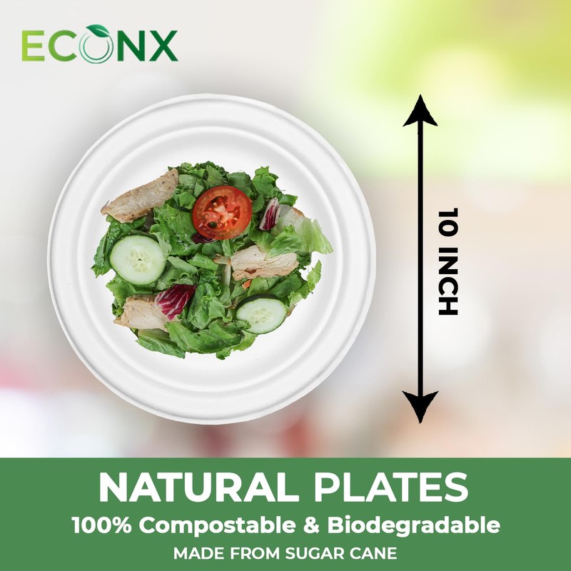 ECONX 10 Inch Disposable Sugarcane Bagasse Plates Large Round Paper
