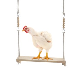 RENEWREVITAL Chicken Toys, Adjustable Height Wooden Chicken Swing for Coop Natural Safe Large Durable Perch Ladder, Brown, 1 Pcs