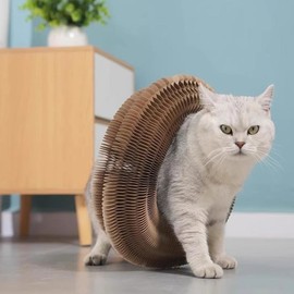 Foldable Cat Toy, Cat Scratcher with Bell, Durable Cat Scratching Toy, Funny Interactive Pet Paws Kitten Scratching Toy, Pet Entertainment Supplies for Indoor Outdoor Use, Kitten & Dog Stuff, Home Pet Products Tools, Scratching Posts