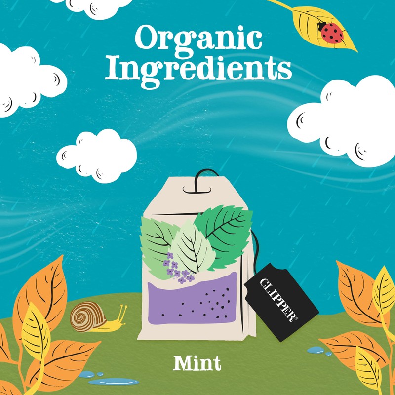 Clipper Tea Mint Herbal Teabags – Caffeine Free, USDA Organic,