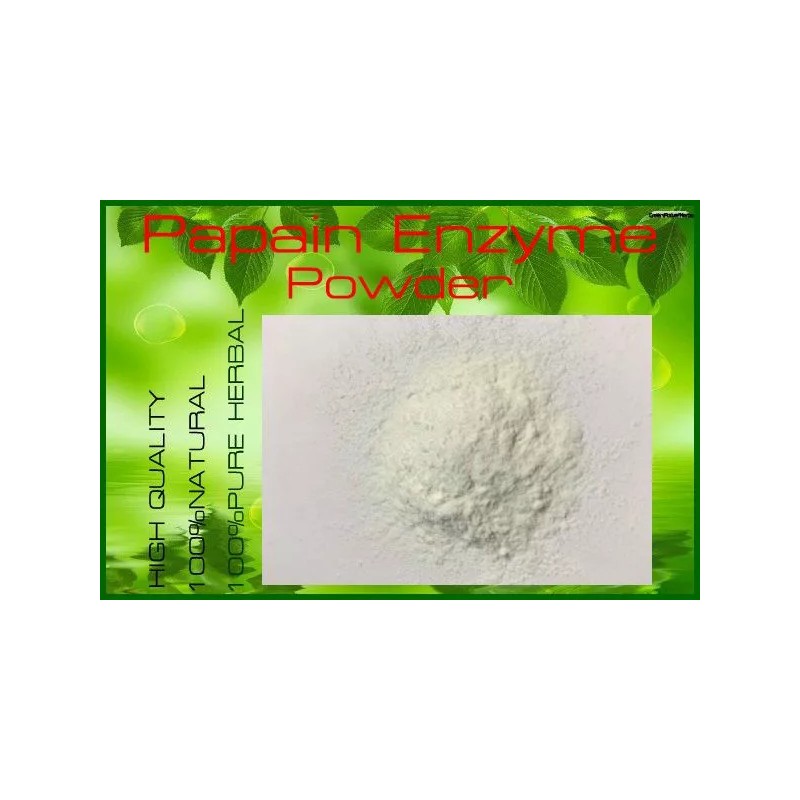 Carica papaya Papain Enzyme Extract Powder (Carica papaya) 500 grams@**