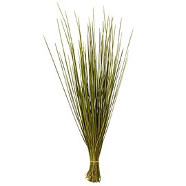 Vickerman 24-30" Basil Whip Grass, 8 oz Bundle, Dried