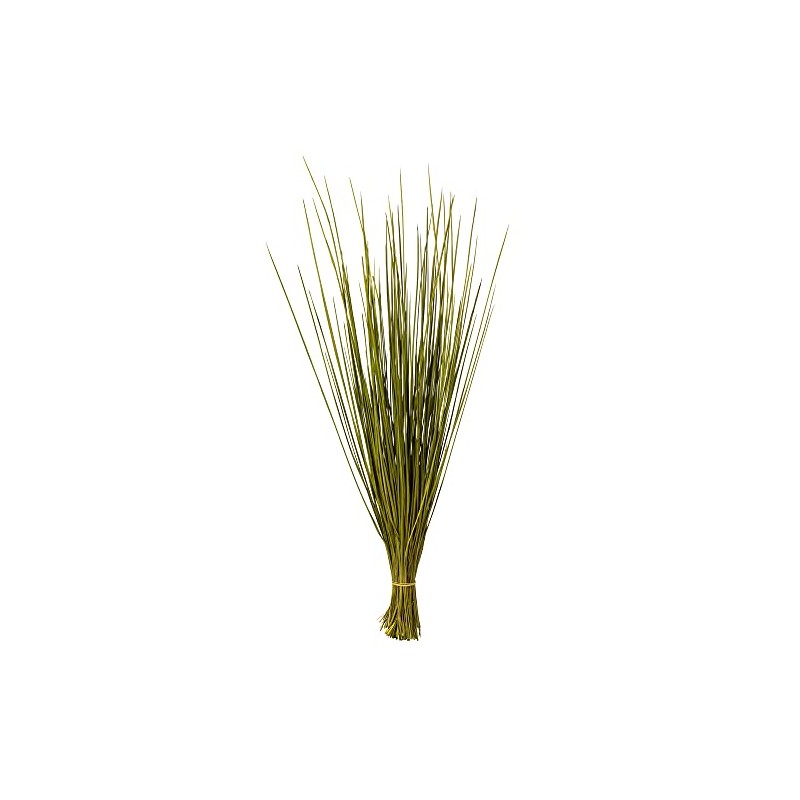 Vickerman 24-30" Basil Whip Grass, 8 oz Bundle, Dried