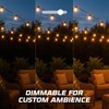 OHLECTRIC 10 Pack - S11 Ceramic White Night Light Bulbs