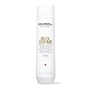 Goldwell Dual Senses Rich Repair Shampoo 250ml