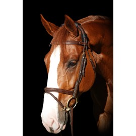 BENEFAB Therapeutic Poll Pad | Far-Infrared Therapy | Comfort & Care for The Poll | Helps Jaw Tension | Provides Relief & Cushion (Solid Black)