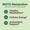 MOTO | Metabolism Vitamin Capsule