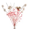COCORRÍNA Reed Diffuser Sticks - Reed Diffuser Sticks Preserved Flowers,