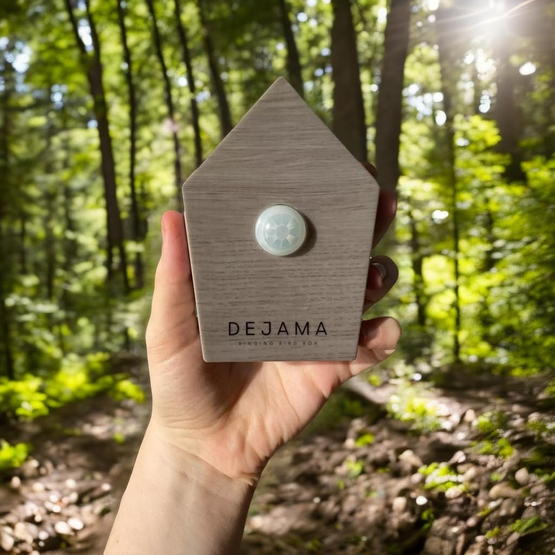 Singing Bird Box Dejama Ambient Noise Birds Chirping Songs Zwitscher