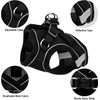 Adjustable Cat Harness, Escape Proof, Adjustable Cat Harness with Lead,